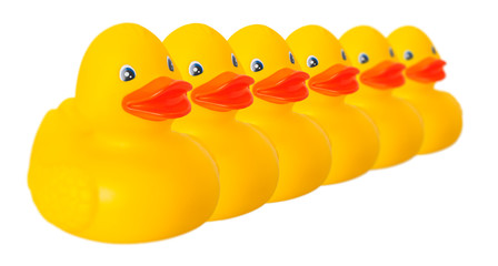 Toy rubber duck isolated on white