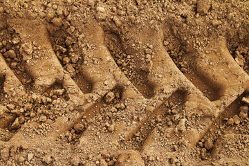 Tyre tracks in mud