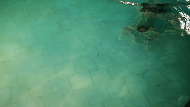 Man swimming under water in pool, steadycam shot