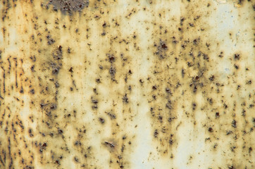 grunge chipped paint rusty textured metal background