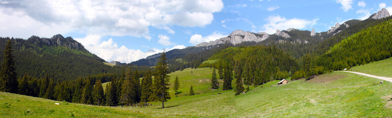 Panorama in Carpathians