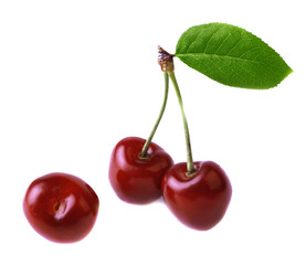 Ripe juicy cherries