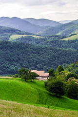 Fototapeta na wymiar The green hills of Alsacea