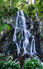 Fototapeta na wymiar Beautiful small waterfall in Alsace forest