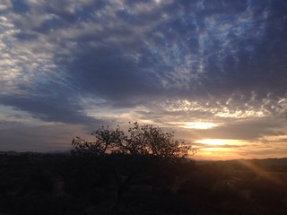 atardecer por el pantano de Elche
