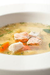Fish Soup