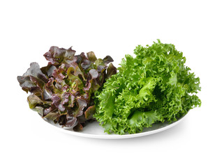 lettuce on the white plate isolated on white background