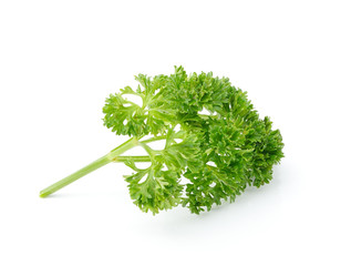 parsley isolated on white background