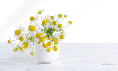 Beautiful daisies flowers in vase on table on light background