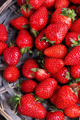 Ripe sweet strawberries