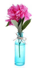 Beautiful pink peony flower in glass vase, isolated on white