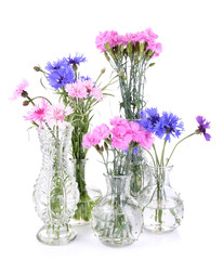 Beautiful summer flowers in vases, isolated on white
