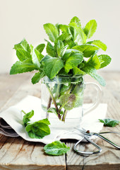 Mint leaves in cup © Anjelika Gretskaia