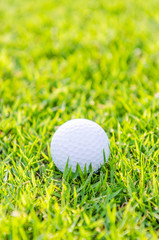 Golf ball on green grass