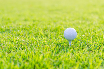 Golf ball on green grass
