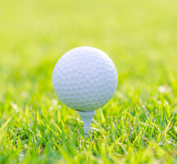 Golf ball on green grass