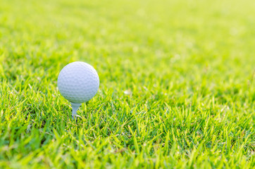 Golf ball on green grass