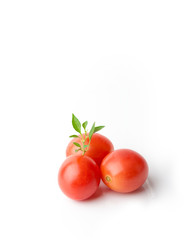 Tomatoes