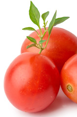 Tomatoes
