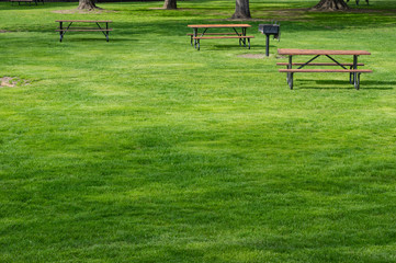 Picnic tables in public park