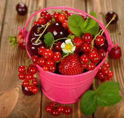 Various berries in a bucket