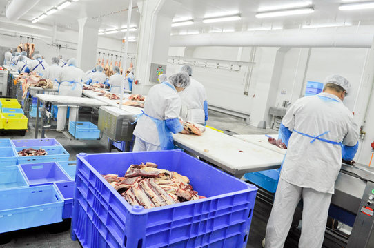 cutting meat in a meat factory