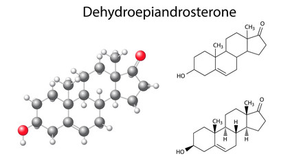 Structural chemical formulas and model of dehydroepiandrosterone