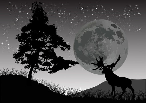 Black Deer Near Pine Under Moon