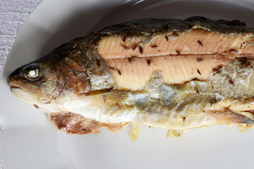 baked trout