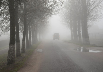 Obraz premium Thick shroud of fog in late autumn