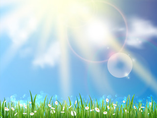 Fototapeta premium Field of daisies and perfect sky.