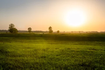Foto op Plexiglas field on sunset © ruslan1117