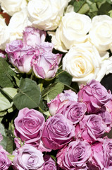 Bouquets of white and pink roses