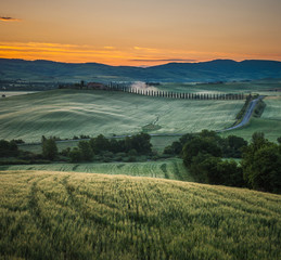 sunrise in tuscany, typical tuscan landscape