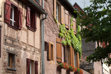 Fototapeta na wymiar half-timbered medieval houses in Eguisheim in Alsace