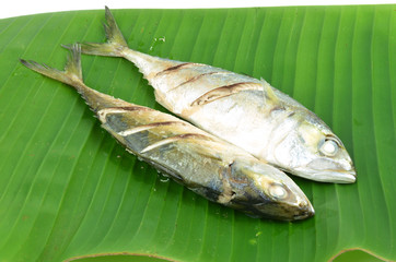 Fried mackerel