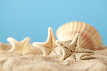 Fototapeta na wymiar Starfish and shells on summer beach