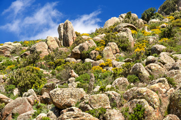 Fototapeta na wymiar Sardegna, wild landscape of Gerrei area