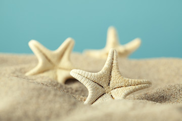 Fototapeta na wymiar Starfishes in sand beach