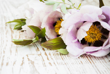 Peony Flower with Green Leaves