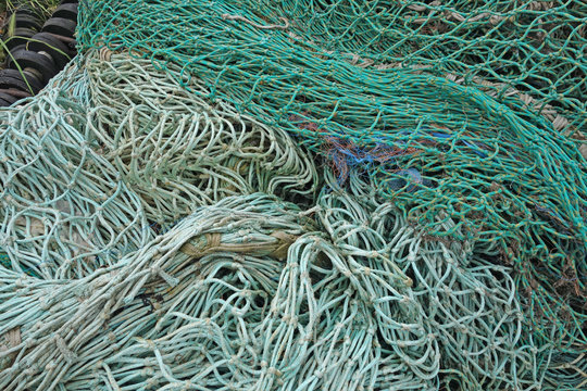fish nets