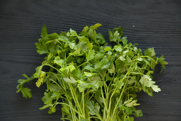 Branch of fresh parsley on a wooden desk