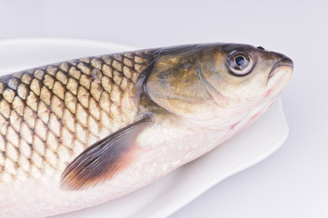 Fresh grass carp in the dish