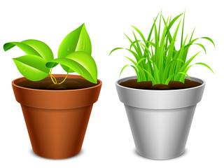 Two plants in brown and white pots.