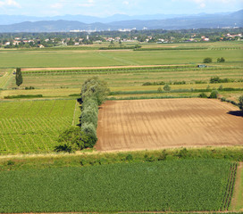 aerial View from the top of the plain with the cultivated fields