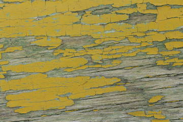 paint on the white background