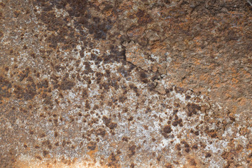 rust on the white background