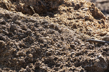 manure