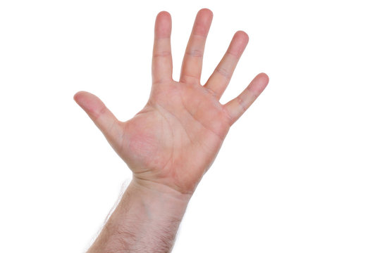 Hand, five fingers