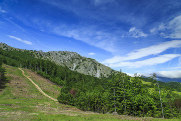 Beautiful mountain scenery in the Alps in summer